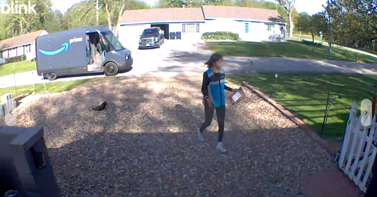 Grieving Family Wants Answers After Amazon Driver’s Theft Of Their Cat Ends With His&nbsp;Death