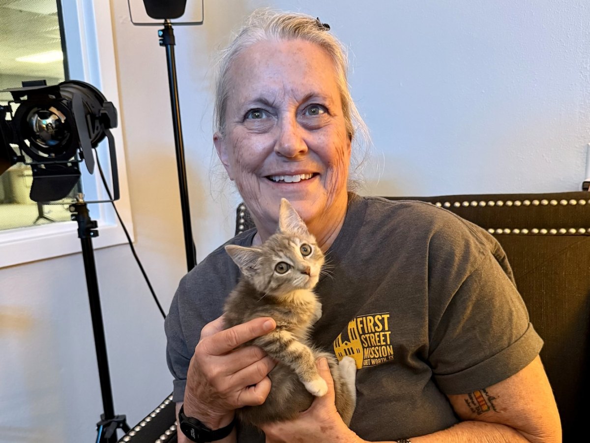Woman Rescues Kitten Found In Bucket Of Glue, Now He’s Her New&nbsp;Buddy