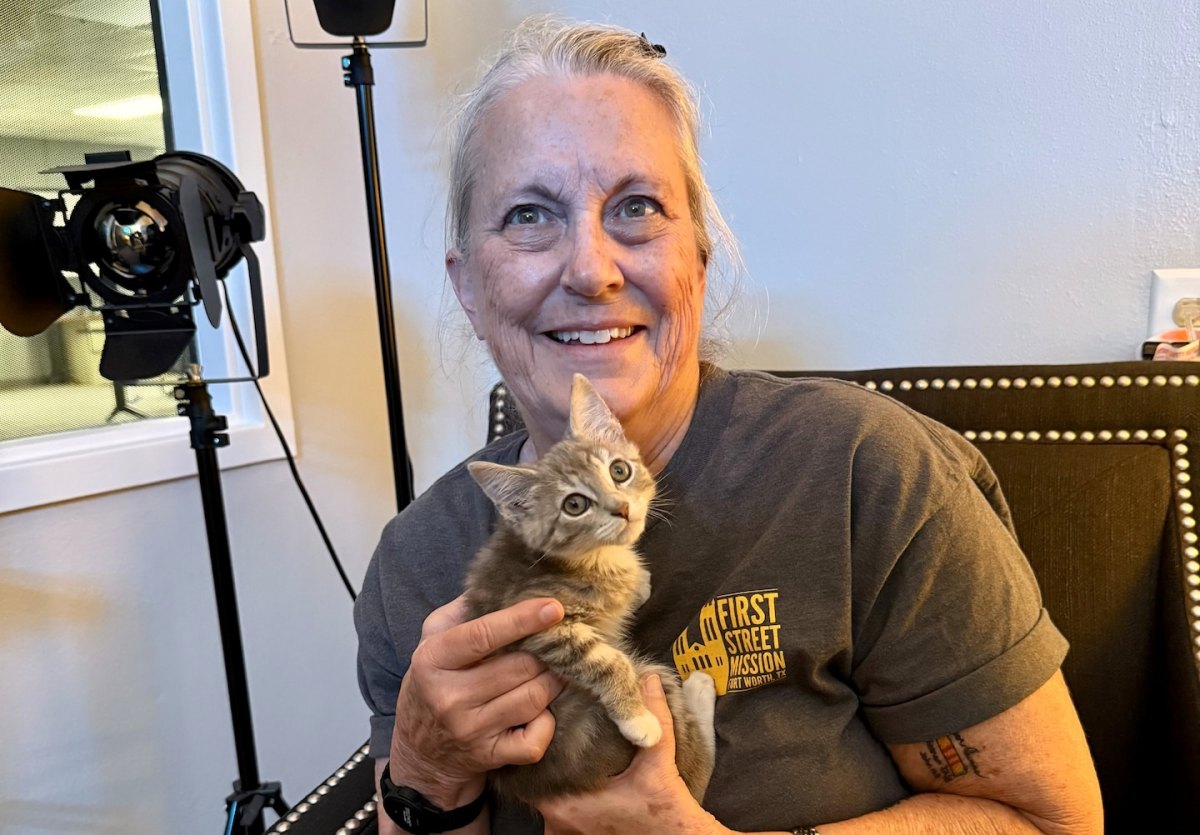 Woman Rescues Kitten Found In Bucket Of Glue, Now He’s Her New&nbsp;Buddy