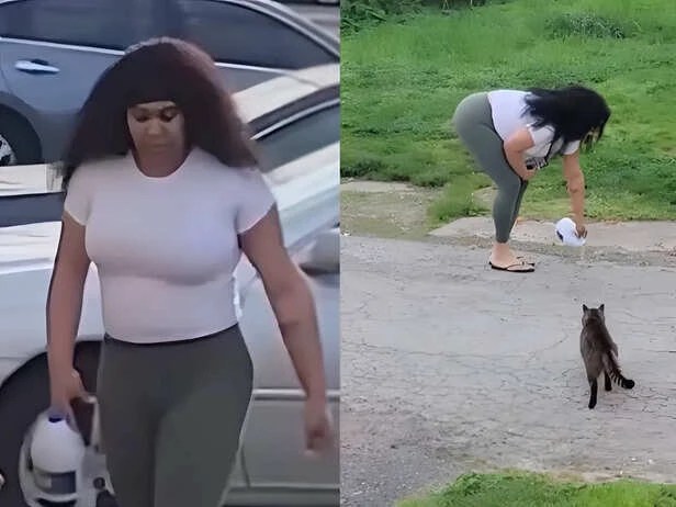 Woman From Viral Video Hit With Animal Cruelty Charges For Pouring Bleach  On Cat Food – Pain In The Bud