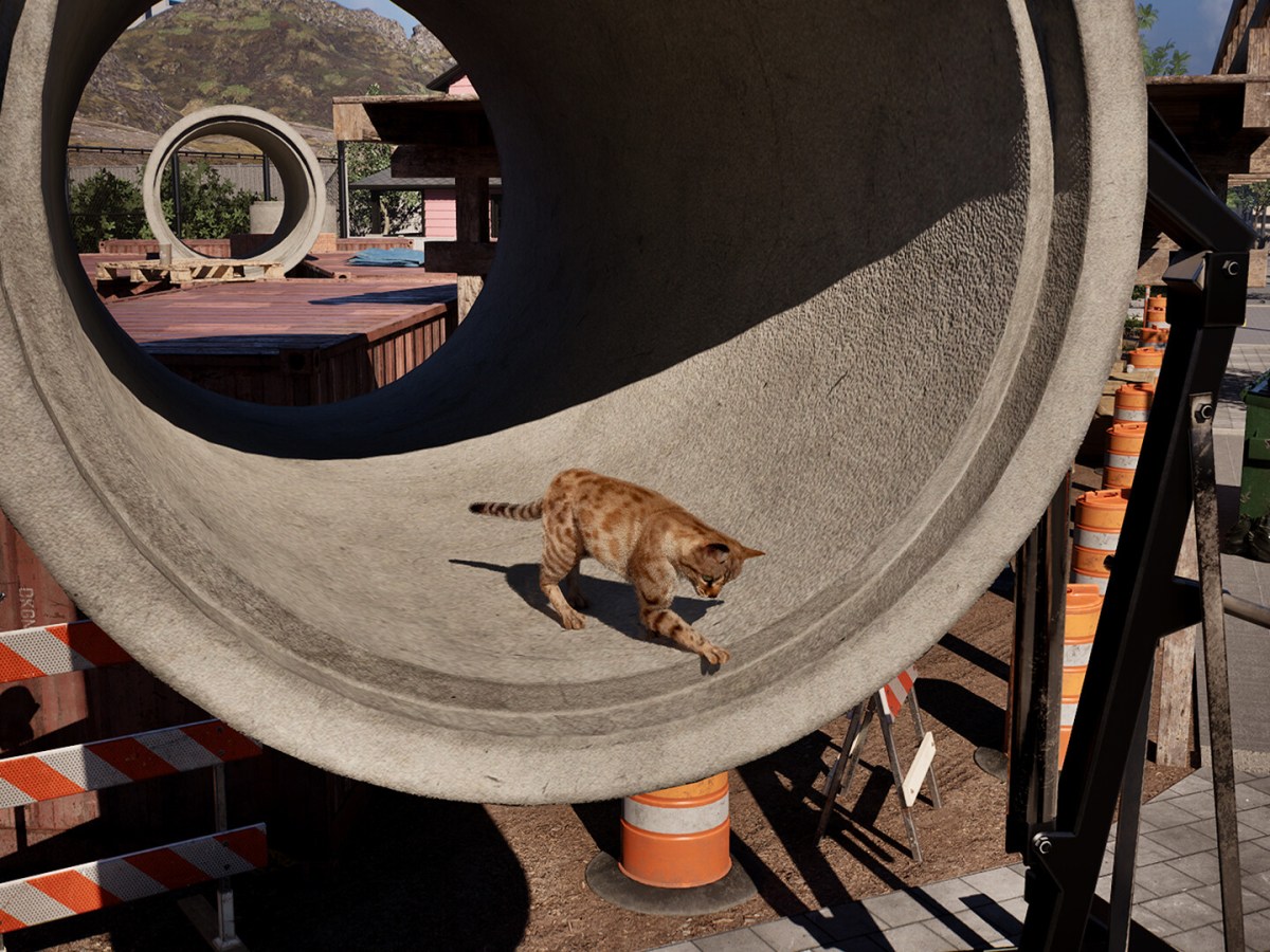 ‘Cat Life Simulator’ Is The Latest In The Evolving Play-As-A-Cat Game&nbsp;Genre