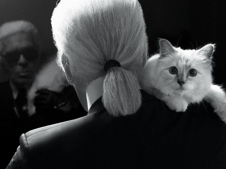 Choupette, The World’s Most Famous Cat, Did Not Like Kim Kardashian And Isn’t As Wealthy As Reported