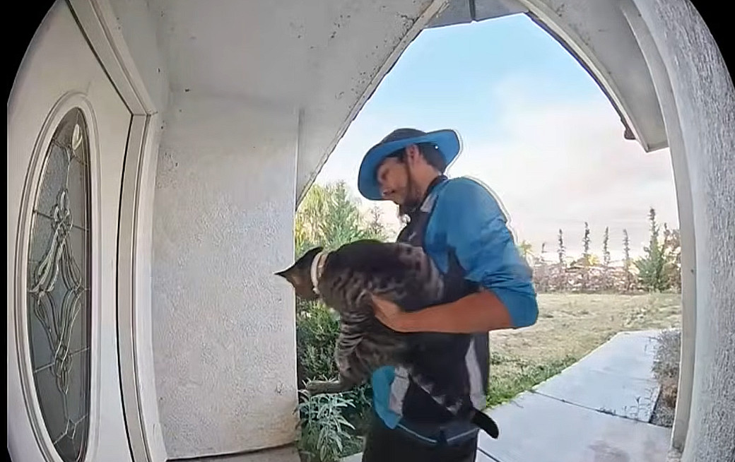 Amazon Driver Accused Of Stealing Family’s Cat Now Says It’s His Cat And Always Has Been