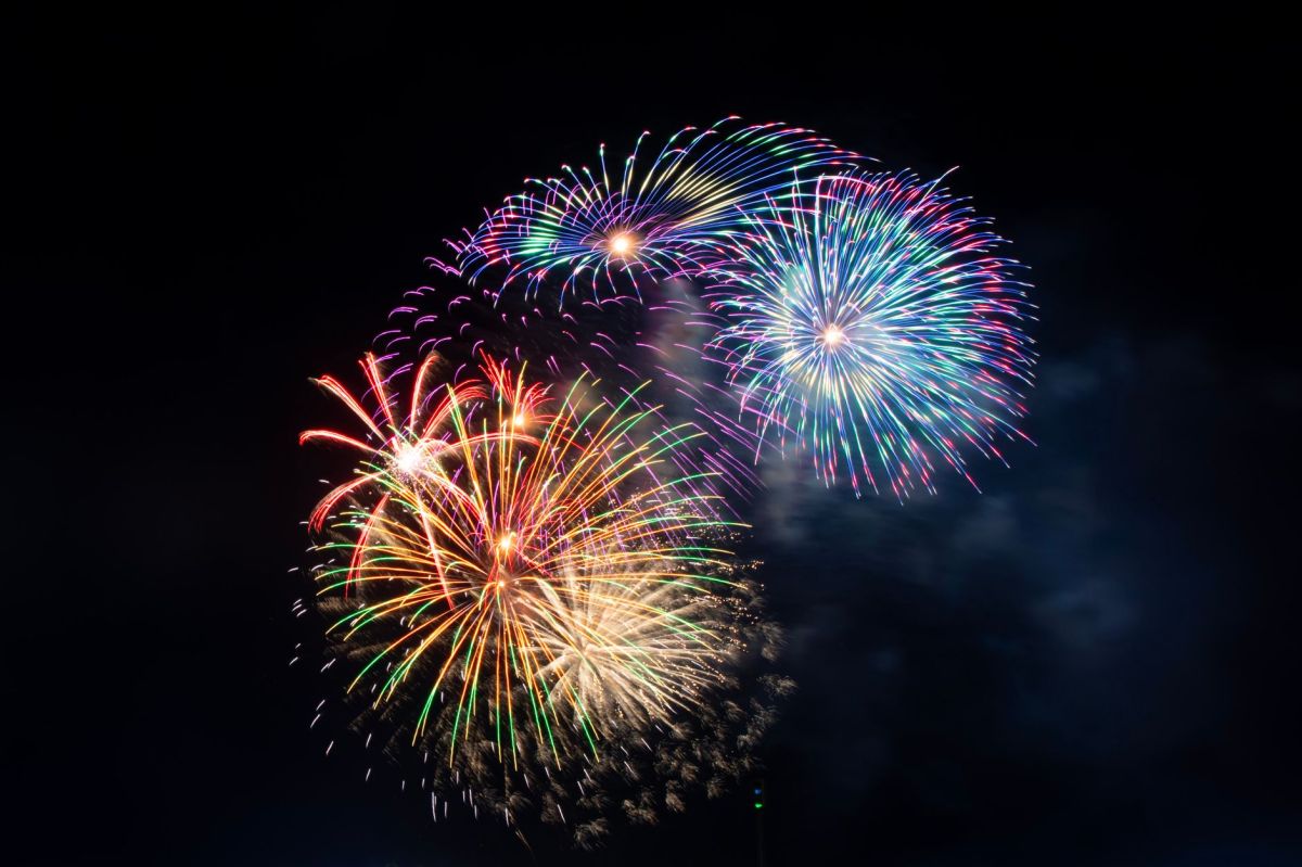 ‘Oh, Were There Fireworks, Human? I Hadn’t Noticed!’