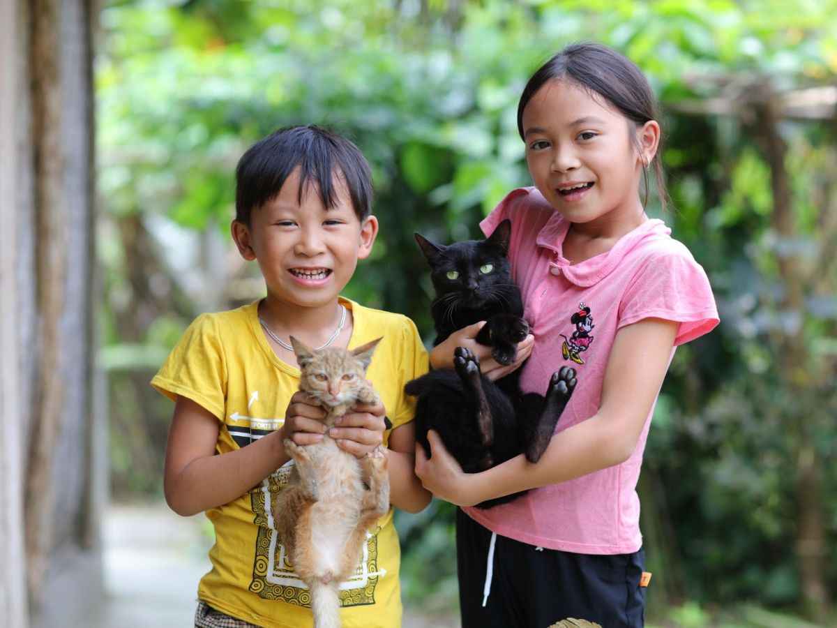 Pet Cats Lead To ‘More Mental Health Problems’ For Kids, Authors Of New Study&nbsp;Claim