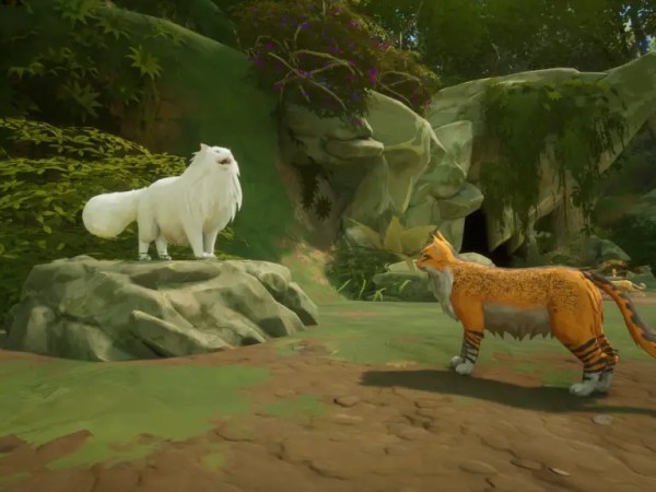 ‘Warriors’ Cat Novel Series Gets A Video&nbsp;Game