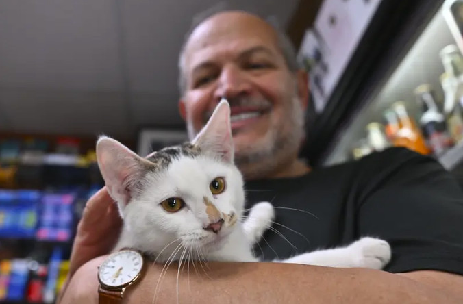 A man smiling while holding a white cat with grey markings in his arms.