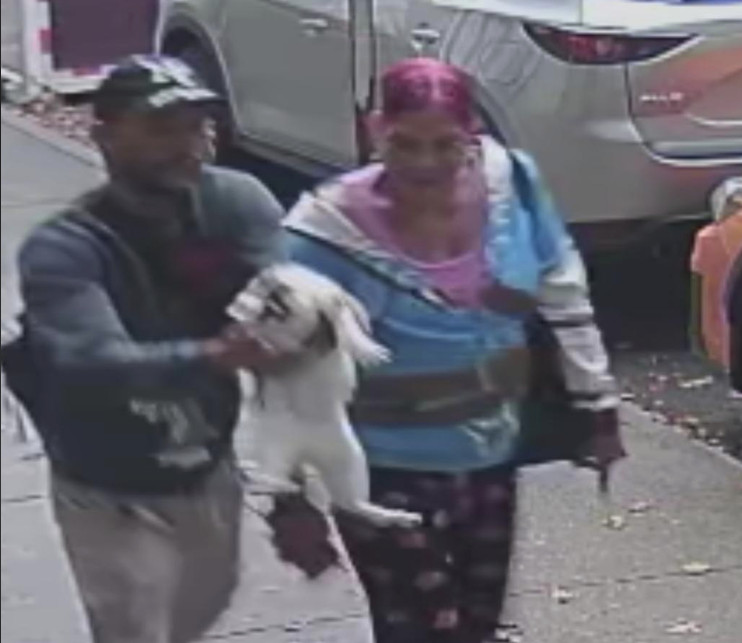 A man and a woman are walking on a sidewalk. The man is holding a small white dog, while the woman smiles beside him. They are dressed casually and surrounded by a suburban street environment.