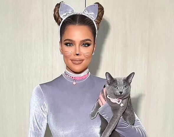 A person dressed in a gray cat costume with cat ears and whiskers, holding a gray cat in her arms.