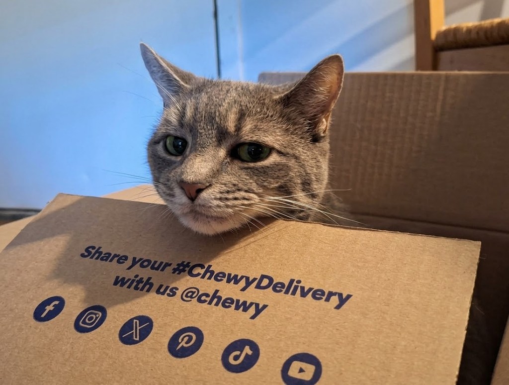 A gray cat's head peeking out from a cardboard box with the text 'Share your #ChewyDelivery with us @chewy' printed on it.