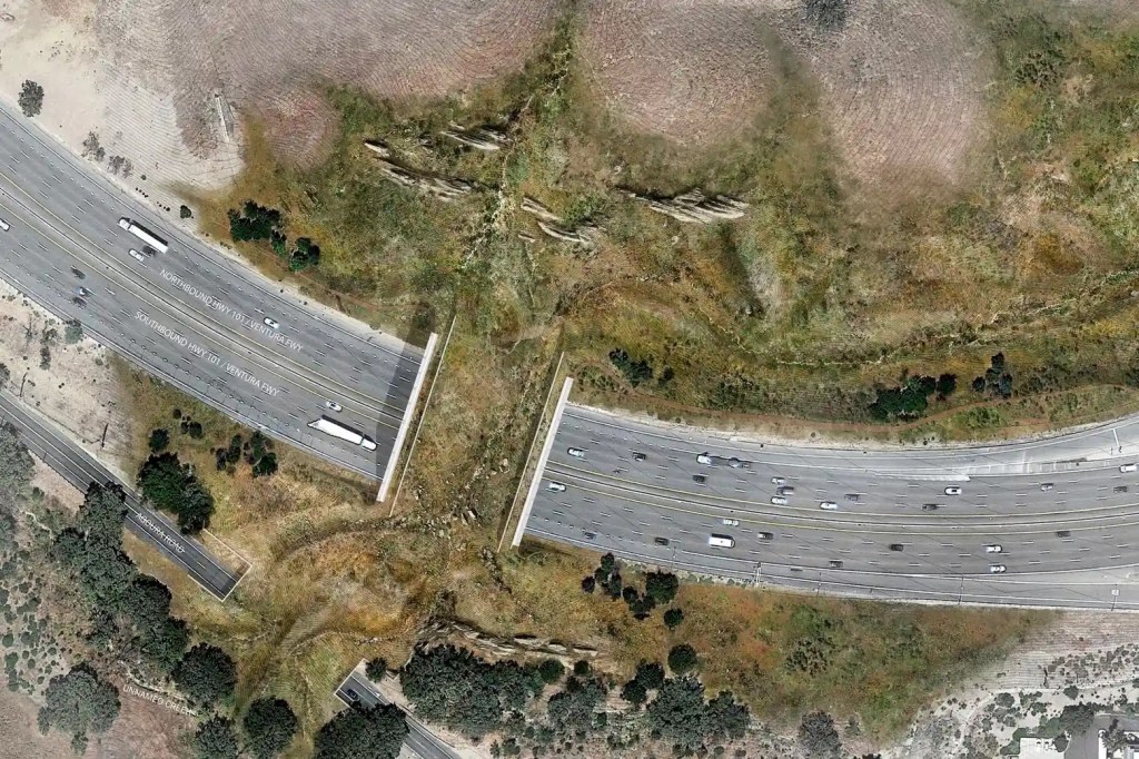 Aerial view of a highway interchange with multiple lanes, surrounded by grass and trees, showing vehicles traveling in both directions.