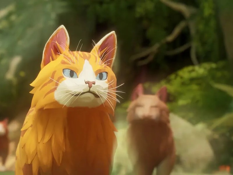 Reviews For New ‘Warrior Cats’ Game Are&nbsp;Brutal