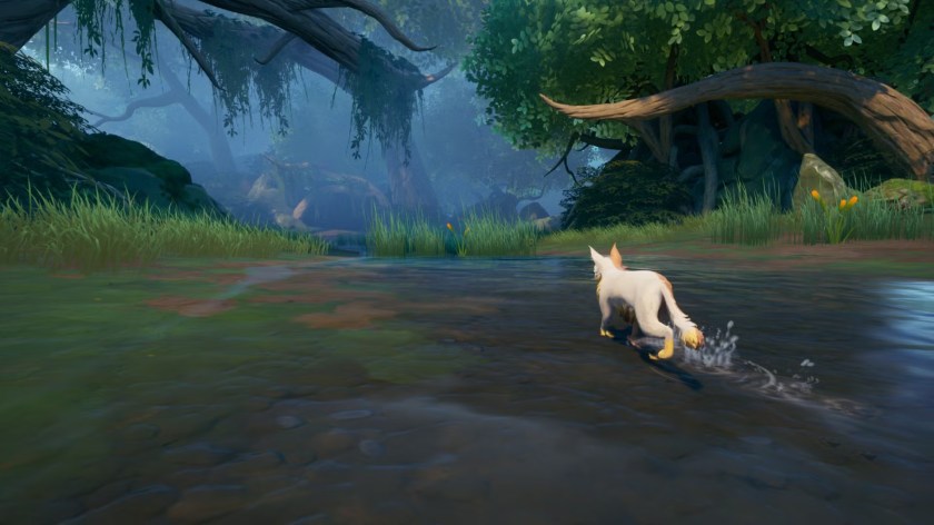 A white cat walking through a shallow stream in a lush, misty forest.